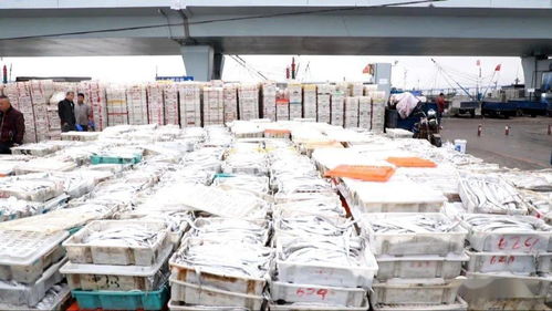 海鮮市場的 傲嬌 價格幫你問好了,看完別流口水